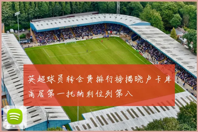 英超球员转会费排行榜揭晓卢卡库高居第一托纳利位列第八